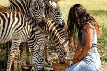 Day-trip To Serval Wildlife Arusha