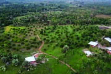 Diatoula – Les Terres Douces Yamoussoukro