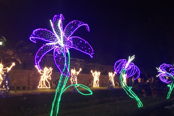 Durban Botanic Gardens Durban