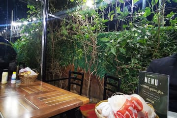 Dz Forest Alger