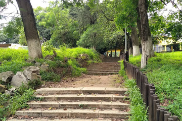 Estufa Huambo