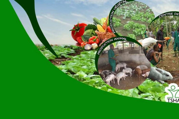 Ferme Pédagogique Tshanfeto Abidjan