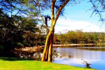 Fish Eagle Inn Naivasha