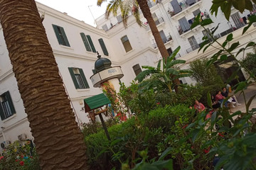 French Institute Alger