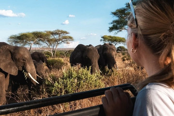 Full-day Trip To Tarangire National Park Arusha