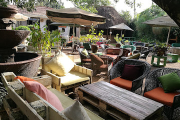 Gatto Matto Kampala
