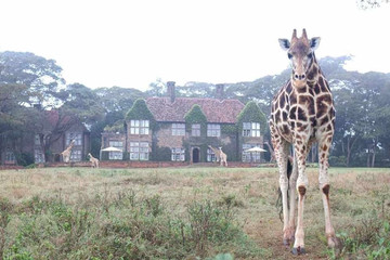 Giraffe manor Nairobi