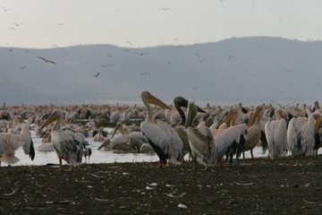 Go Exotic Places Adventure Tours With Best Prices. Nairobi