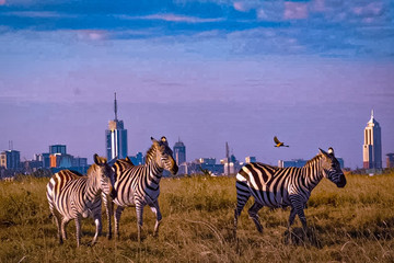 Half day nairobi national park Nairobi