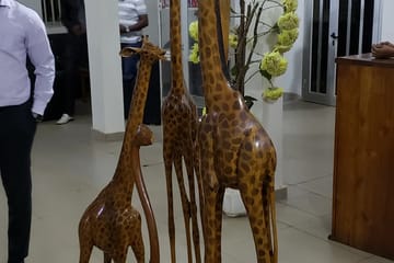 Hotel le Bonheur Parakou