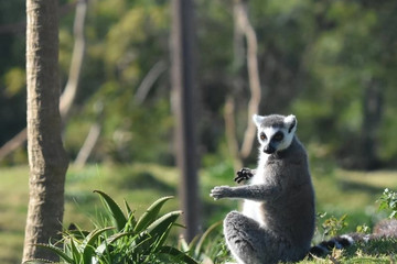 Jardin Zoologique de Rabat Rabat