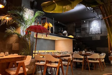 Jungle Alger