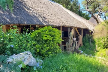 Kgogomodumo Lodge, Kanye Kanye
