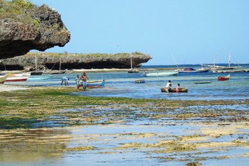 Lawford's Malindi