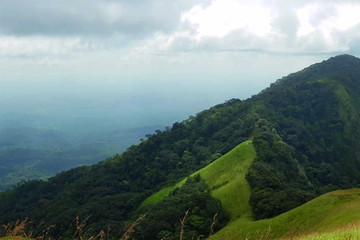 Le Mont Nimba Man