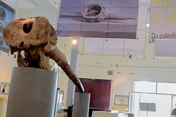 Le musée des civilisations de côte d'ivoire Abidjan