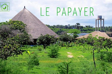 Le papayer ecolodge Cap Skirring