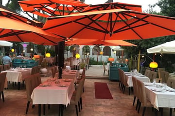 Le Tantra Alger