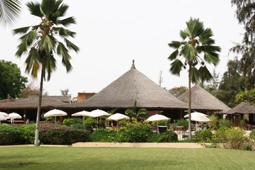 Les filaos Saly
