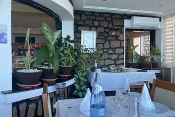Les Gazelles Oran