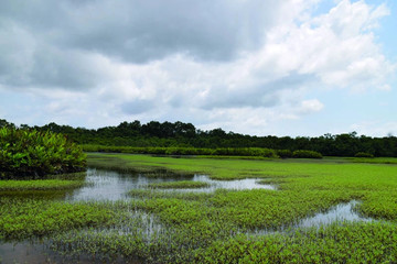 Les îles ehotilé Adiaké