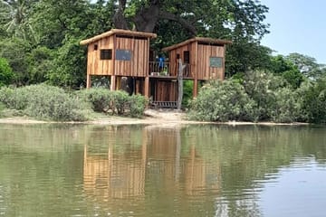 Lodge baobab panorama Palmarin