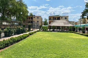 Louie Ville - Forest Hill Gaborone