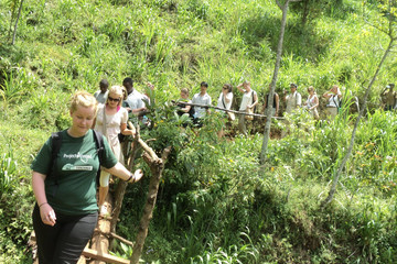 Materuni Waterfalls Day Trip Moshi