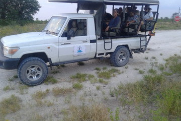 Moremi Day Trip Maun