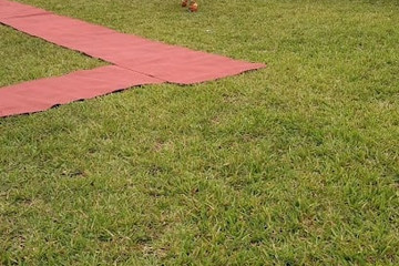Mosaic Abidjan