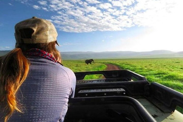 Ngorongoro Crater Day Tour Arusha