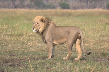 Okavango delta adventure trip Maun