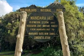 Open season day trip to mount kilimanjaro Moshi