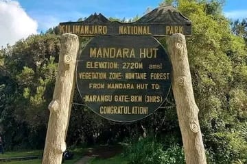 Open season day trip to mount kilimanjaro Moshi