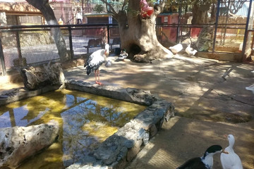Oran Zoo Oran