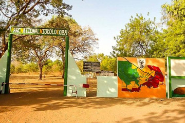 Parc national du Niokolo-Koba Casamance