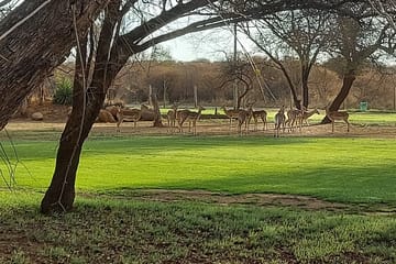 Pomegranite Golf Resort & Spa Francistown