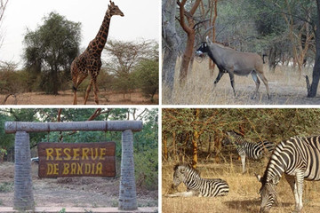 Réserve de Bandia Mbour