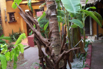 Residence Mamikan Abidjan
