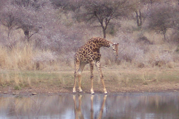 Robin Good Fellow Guest House Gaborone