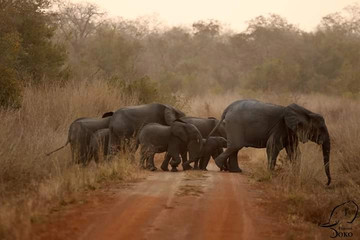 Deux jours de safari au bénin Djougou