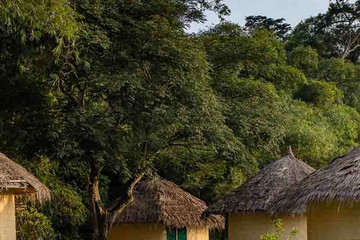 Taï forest lodges Niebe