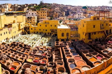 Tanneries Chouara Fes