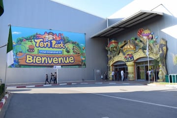Teri Park Alger