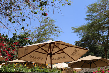The Purdy Arms Nairobi