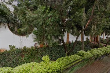 Tiger Trail At Hotel Royal Orchid Nairobi