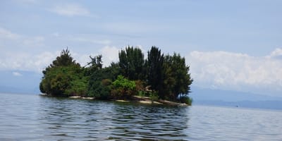 6 days best of rwanda budget safari - Photo 5