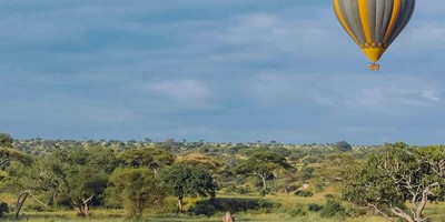Kenya’s top safari adventure: 8 days of game drives & breathtaking views - Photo 10