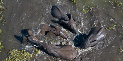 7 days safari to rwanda - Photo 10