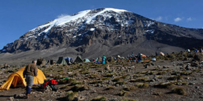 15 days mount rwenzori trekking and breathtaking wildlife safari - Photo 5
